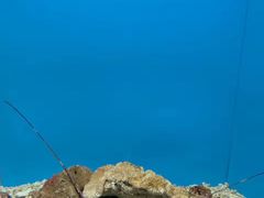 -北戴河圣蓝海洋公园