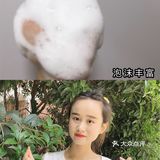 超级好闻的滋源洗发水