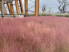 -中国天府农业博览园