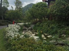 -青城山六善酒店·紫氣園中餐厅
