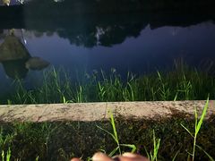 -苏州湾·王焰温泉