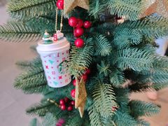 -星巴克(深圳嘉汇新城店)