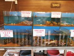 -真浪花园海鲜餐馆