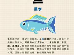 -立德异宠动物医院.兔鸟爬.内窥镜(天河店)
