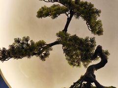 -席仁堂推拿按摩脊柱调理(世纪科贸大厦店)