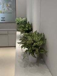 -禾丽康美医疗美容医院