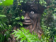 -海南热带野生动植物园