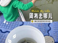 -菊园百果园