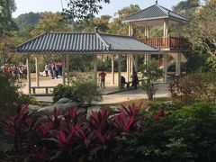 -火炉山森林公园