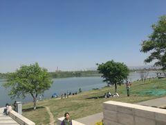 -灞河西岸滨河公园