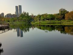 -四海公园(南山区)