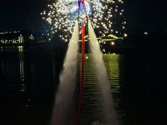 -荷兰花海