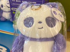 -龙湖重庆时代天街