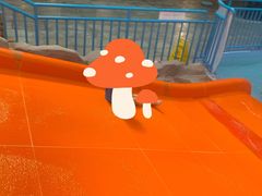 -青岛东方影都融创水世界