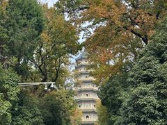 -灵谷景区