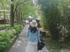 -溱湖国家湿地公园