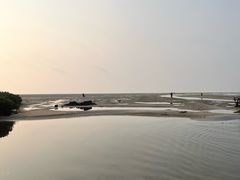 -红树林天天赶海
