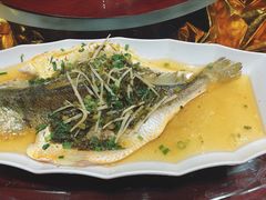 清蒸太湖白鱼-金枝玉叶上海人家食府(三里河店)