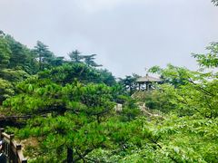 -天柱山风景区
