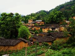 -杨家堂村