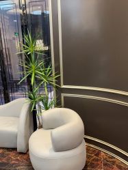 -八佰伴8008星级形象店