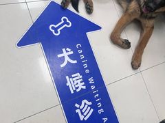 -申普宠物医院(总院)