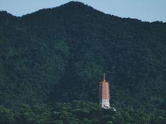 -深圳仙湖植物园