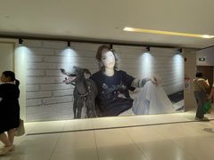 -岭南站NOVA