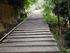 -大罗山风景区