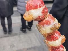 -糖葫芦王保定名吃(古莲花池店)