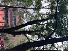 -炭虎子水浒烤肉(梦时代店)