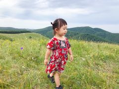 -乌兰布统草原