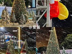 -巨鹏飞梦幻海岸