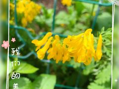 -国家植物园南园