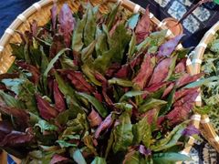 -慢丽江·云南野生菌土鸡锅(西山店)