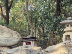 -湖泉半山温泉