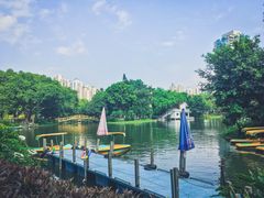 -晓港公园