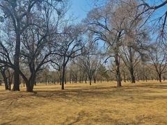 -承德避暑山庄景区