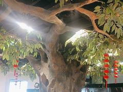 -易老九江湖菜(北滨一路店)