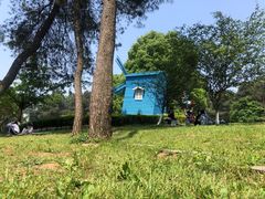 -铁山坪森林公园