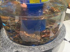 -新海渔港·胶东海鲜家常菜·家宴(奥体中心店)