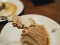 -猫里有甜
