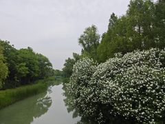 -贡湖湾湿地公园
