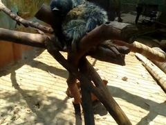 -昆明动物园