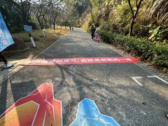 -广州市帽峰山景区