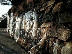 -黄山北海宾馆