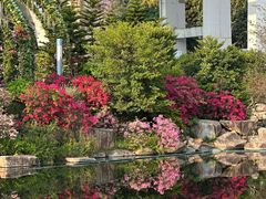 -云溪植物园