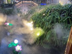 -大妙火锅·非物质文化遗产(东湖公园店)