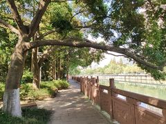 -成都市活水公园