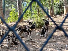 -大连森林动物园